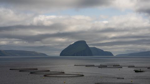 Islands and salmon pens under a low sky.