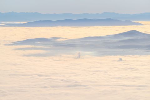 A sea of cloud seen from Table Mountain.